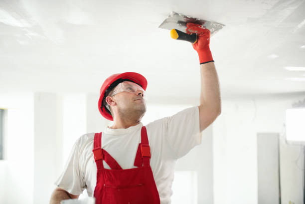 Best Drywall Installation  in Home Gardens, CA